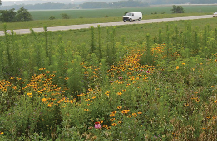 PennDOT plantings